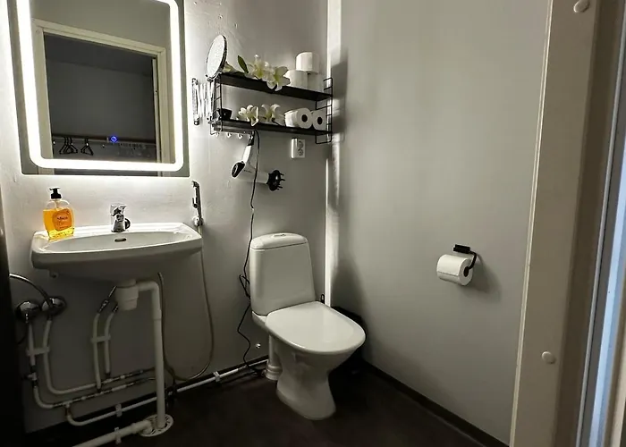 Appartement Vanhan Paloaseman Loft -asunto